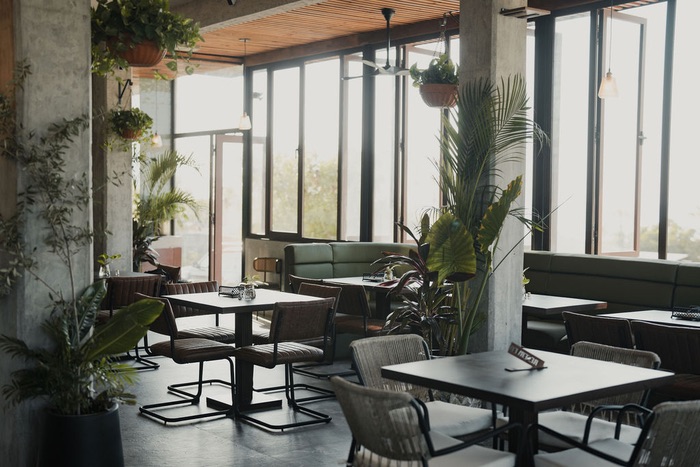 The dining room in afternoon light