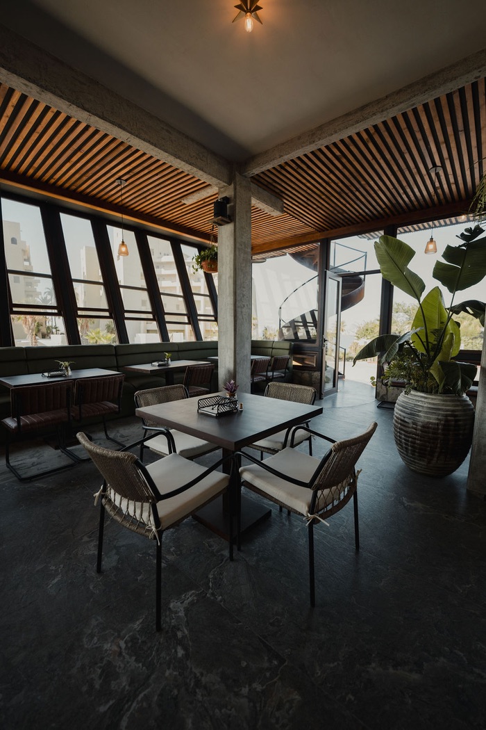 The room, open and full of plants