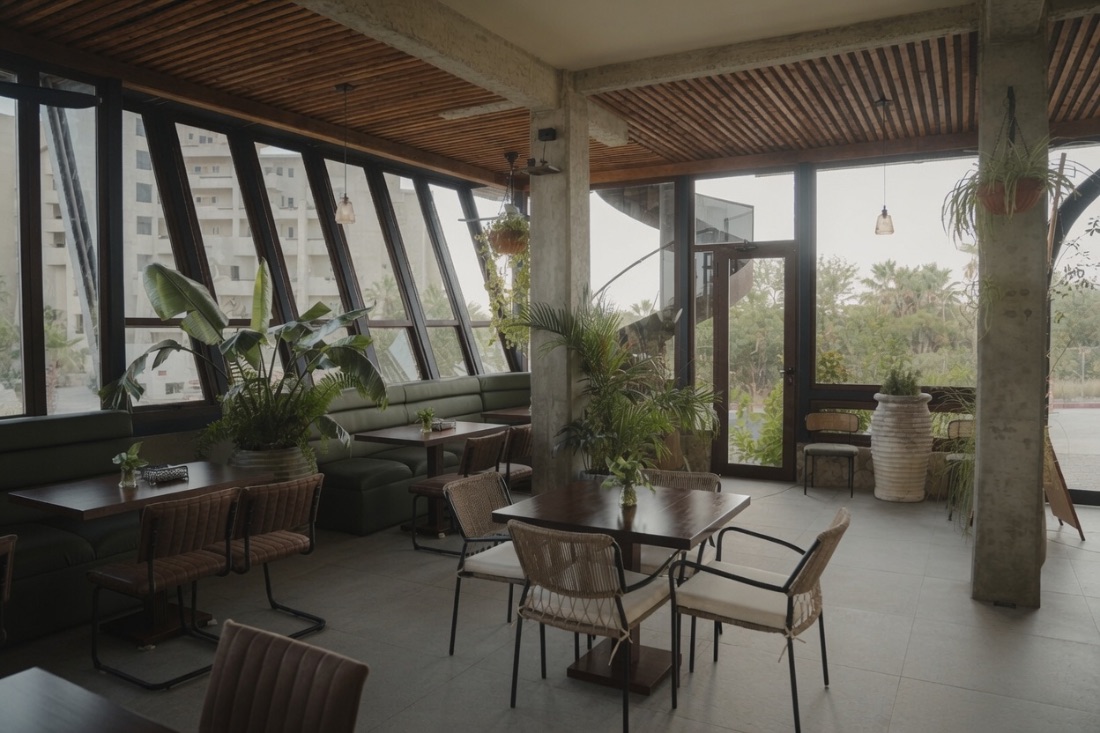 The room through clean cathedral glass — sunlight, ferns and the Sea of Cortez